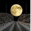 mariam_mostafa_308