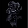 alizehy70