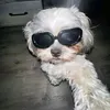 baandyyy7