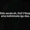 iqro877