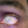 user017630811