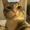 _nathan297