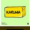 karuni4_hh