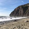 beachygal77