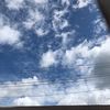 chutipon_9549
