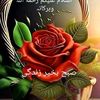 user25168689