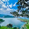 dilover_nature