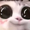 ice_creamsofteu