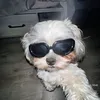 changzz_69