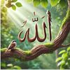 zaheer.abbas.222