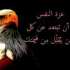 user156569046