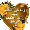 user02756203