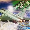 salem_alsultan