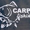 carp_fiwhing