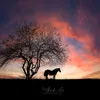 stockart.fotografie