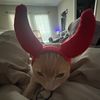 sidneytheorangecat