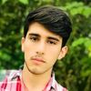 haiderali0271
