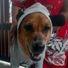 bairava_29