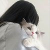 crybabyawl