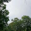 spai_45