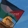 Free Palestine 💚✌🏻