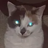 .f0gbrain