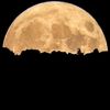 0themoon_123