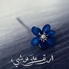 nesreen_04