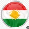 roya.kurdiii