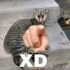 krisstoff_wolfkrone