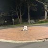 tomw_37