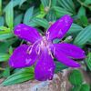 lylongkhanh_208