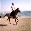 mostafaawad265