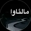 user63866684