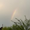 amina_2440