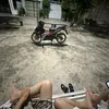 thaihoang31999