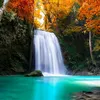 httpwww.tiktok.comuser