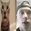 hankyxd