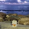 kgfffccvvolllf
