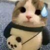 _chirimon_