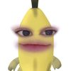 rebitaasekarr