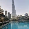 laifofgulf270