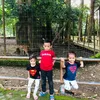 angah_hafizree
