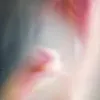 ︎ ︎ ⭐︎