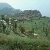 youssef12334567
