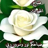 user6255088218712
