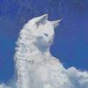 kittifying