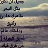user361428988