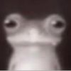 krulestfrog