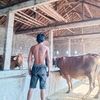 cak_rohman26